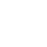 Wasik's